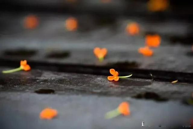 ����ʱ������ѧ�����Ǵ����� ��Է���˽���