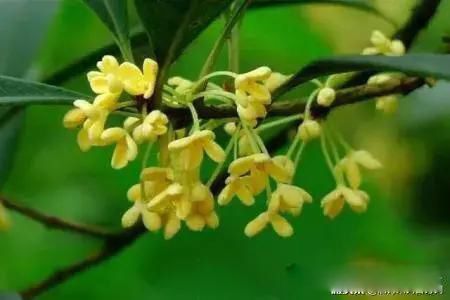 ����ʱ������ѧ�����Ǵ����� ��Է���˽���