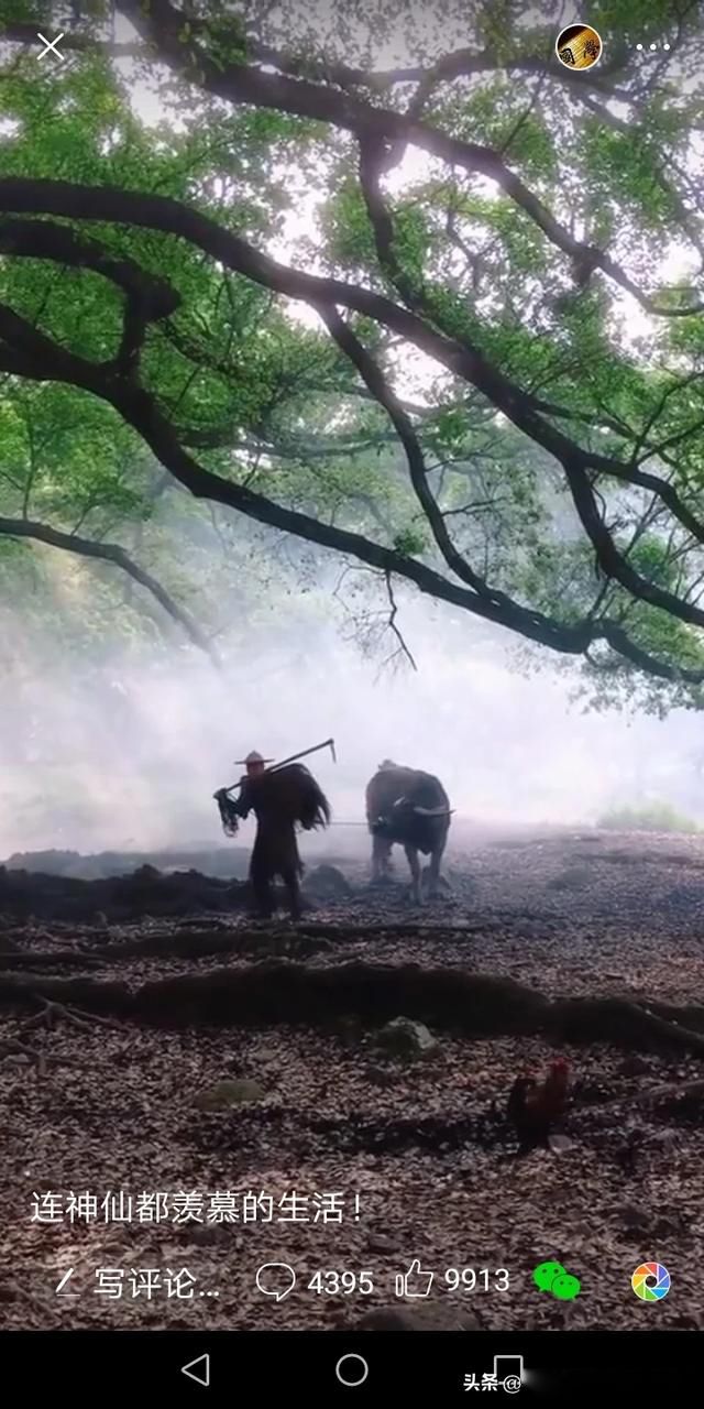 ���˺�һ��˭����� �������Ķ����������