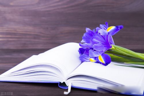 ���˼�ͥ���˻����� �������Ķ��˱ȵ�����������ǿ