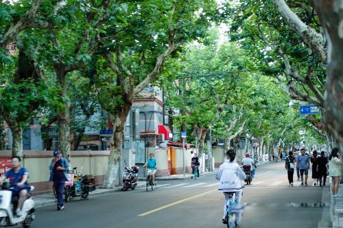 ���˼�ͥ���˻����� �������Ķ��˱ȵ�����������ǿ