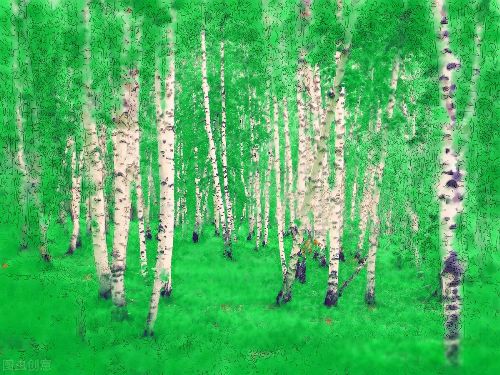 ���˼�ͥ���˻����� �������Ķ��˱ȵ�����������ǿ