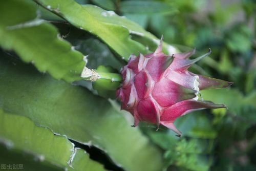 ���˼�ͥ���˻����� �������Ķ��˱ȵ�����������ǿ