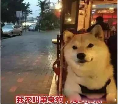 不婚主义女生真实想法 原因可能是多方面的