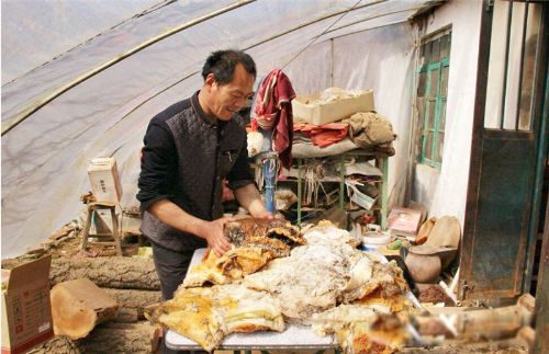 ̫�����Ǯһ�� �����е�̫�굽����ʲô