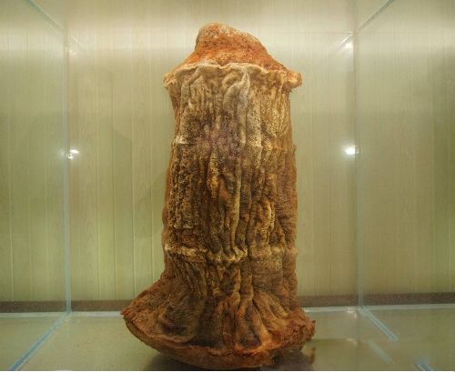 ̫�����Ǯһ�� �����е�̫�굽����ʲô