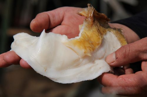 ̫�����Ǯһ�� �����е�̫�굽����ʲô