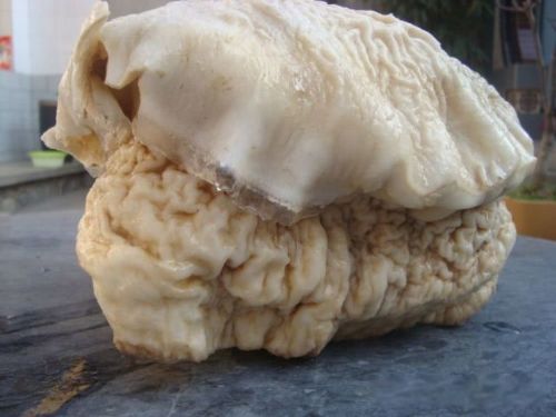 ̫�����Ǯһ�� �����е�̫�굽����ʲô