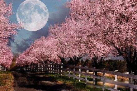 ֱ����ʲô���ı��� ����������Ů����ϲ��