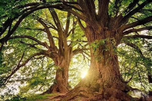 ���˲���Ů�˲�����ʲô��˼ һ����������Ļ�����