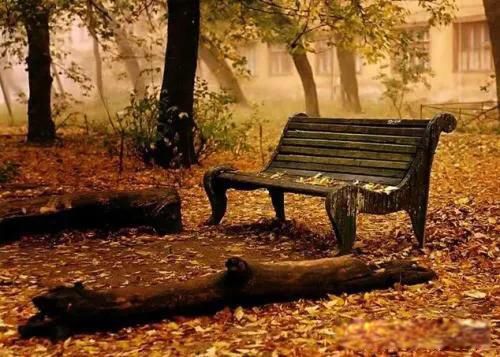 ���˲���Ů�˲�����ʲô��˼ һ����������Ļ�����