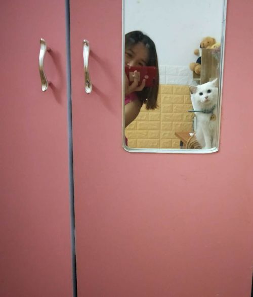 ������ʲô��˼ �����ͨŮ�������Ը�����