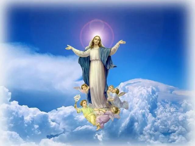 ʥĸ���ʲô��˼ ��ʵ�е�ʥĸ���ж��