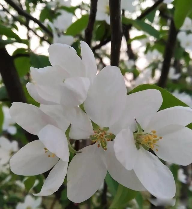 ���������۵Ŀ��� ��������۵��Ҿ��ÿ�Ц