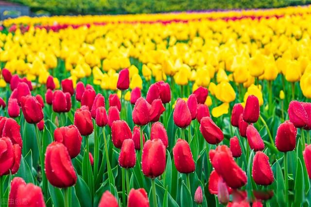 �˵�����,��ȸ���(�ܾ���) �����ҵ�ɧ���ֹ�һ��