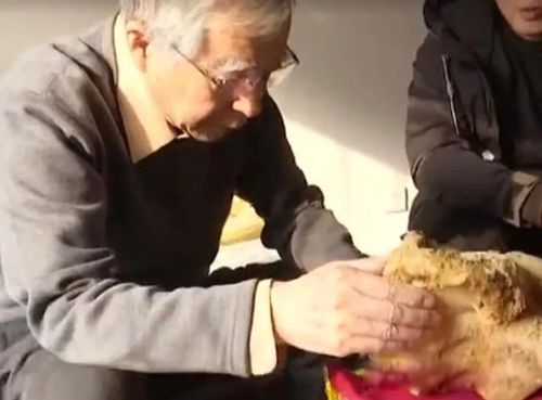 ̫�����Ǯһ�� ̫�굽����ʲô������