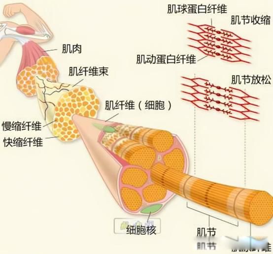 ����ѳ���ˮ����ԭ�� ����ʱ�ڵ�ѳ���ƶȷ�չ