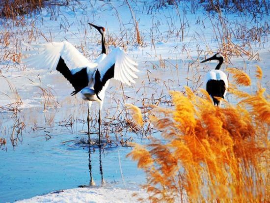 ����ѳ���ˮ����ԭ�� ����ʱ�ڵ�ѳ���ƶȷ�չ