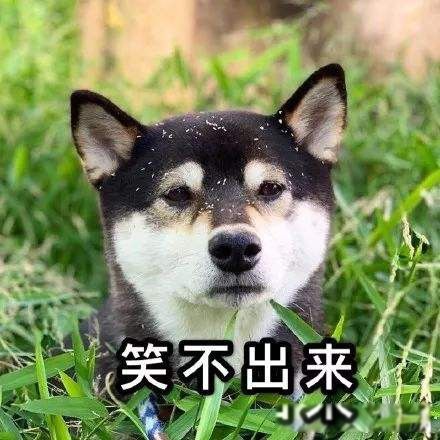 ֱ����ʲô���ı��� ������10�ֱ���