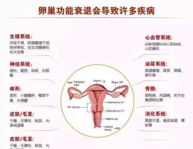 俄罗斯女人为什么结婚后会发胖 这种变化太神奇了