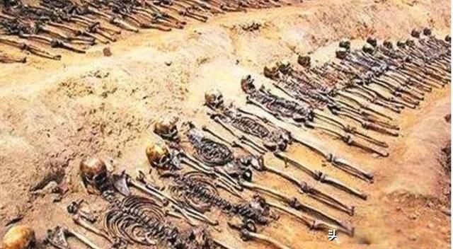 ���������ܻ��� ѳ����ʲôʱ��ʼ��