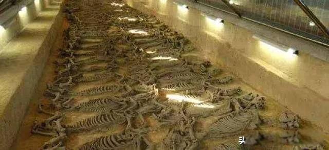 ���������ܻ��� ѳ����ʲôʱ��ʼ��