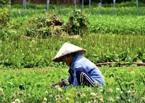 �����зŮ��ʲô��˼ һ���־���Ҫǯ��Ǯ��