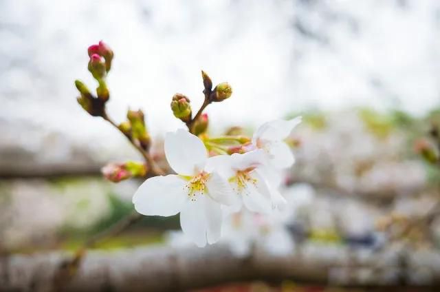 ��Ȥ����������һ,�ÿ���Ƥ��ǧƪһ��ʲô��˼ ���ںÿ���Ƥ����������