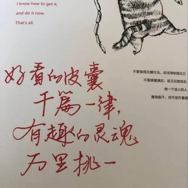 有趣的灵魂百里挑一,好看的皮囊千篇一律 说明了什么