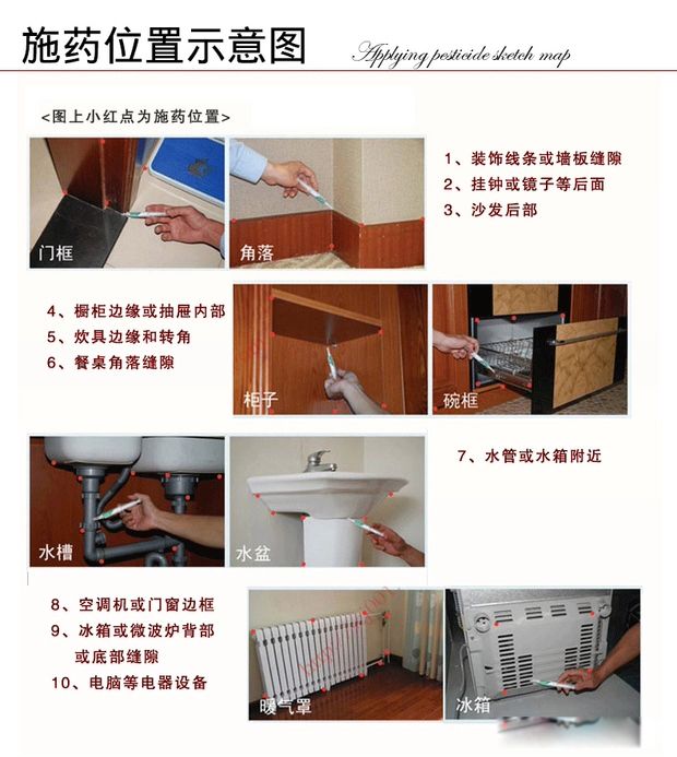 蟑螂怎么消灭最干净彻底的方法 在于如何对付蟑螂卵