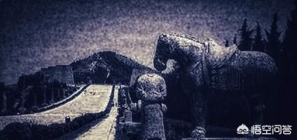 Ǭ��Ϊʲôû���� �Ҳ�����ھ�ֻͽ��һ����