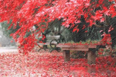 Ů�Ŀմ�����ʲô��˼ ������Ҫ������Լ������