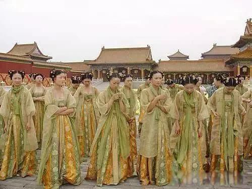 ���������ܻ��� ����ѳ���ƶȵ��ݱ�