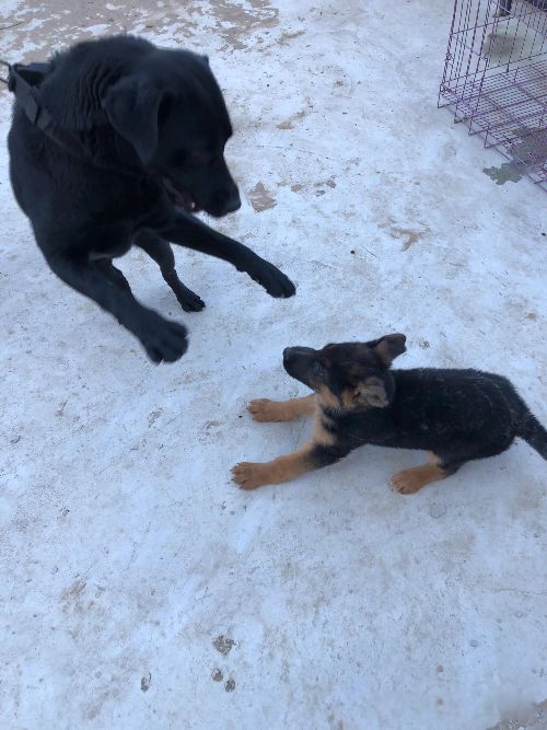 ����һ��������� ����ص���ȱ������