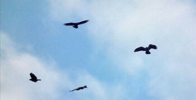 ��������Ů����ʵ�뷨 ���û��������ϲ㽨��