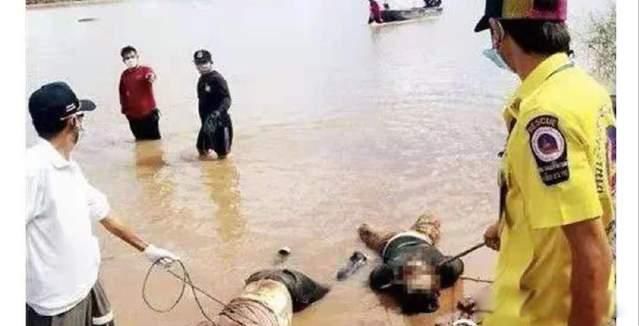 ��鱱��Ů���³�ͼƬ ���������񡱾�����鱱