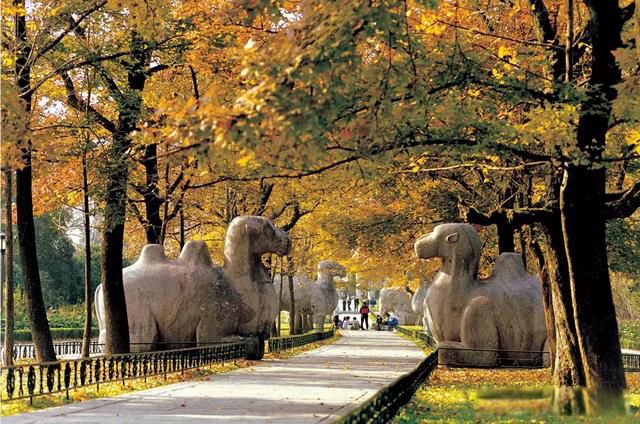 ʮ������˭��Ĺ�� ������λ�ʵ۵���Ĺ������