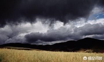 ������Ĺ������ Ǭ��Ϊʲôû����