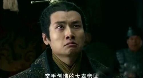 秦始皇有几位夫人 明确姬妾已经无考