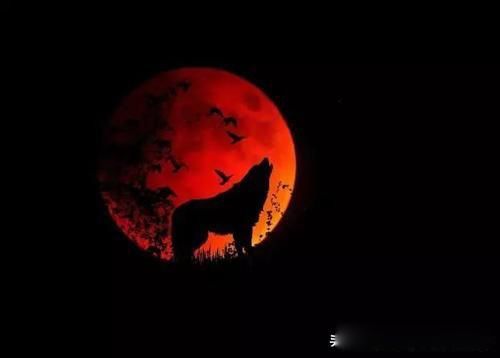 月亮为什么会变红色 是一种罕见的月食现象