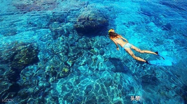 ̩������һ�δ�Ż��Ѷ��� ��Ҫ���Ѽ�ע������