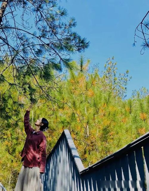 �зŮ��ʲô�� �ص������²��ƺ��