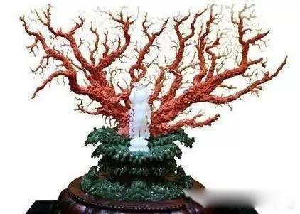 ���Ӣ���ı������ڻ��д��ڵ��� ���嶫�������ı���������