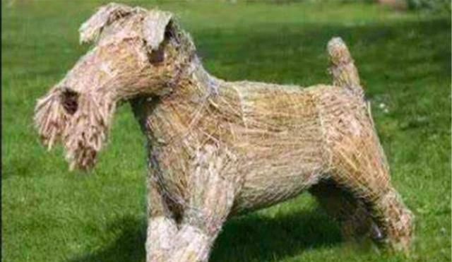 ��ز���������Ϊۻ��ʲô��˼ ������10��ǰ������