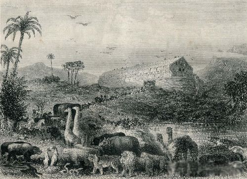 ŵ�Ƿ��۵Ĺ��� ��ν��ŵ�Ƿ�����Ĵ�����