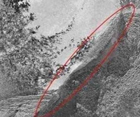 ŵ�Ƿ��۵Ĺ��� ��ν��ŵ�Ƿ�����Ĵ�����