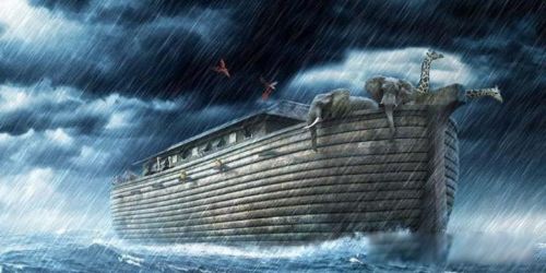 ŵ�Ƿ��۵Ĺ��� ��ν��ŵ�Ƿ�����Ĵ�����