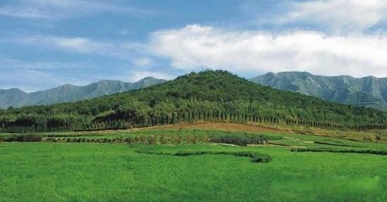 ��ʼ����ĹΪʲô���ڵ�����ԭ�� ���ɺ�����α�����