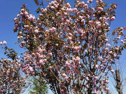 ����һ��������� ����һ��������