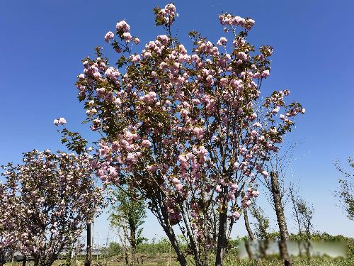 ����һ��������� ����һ��������